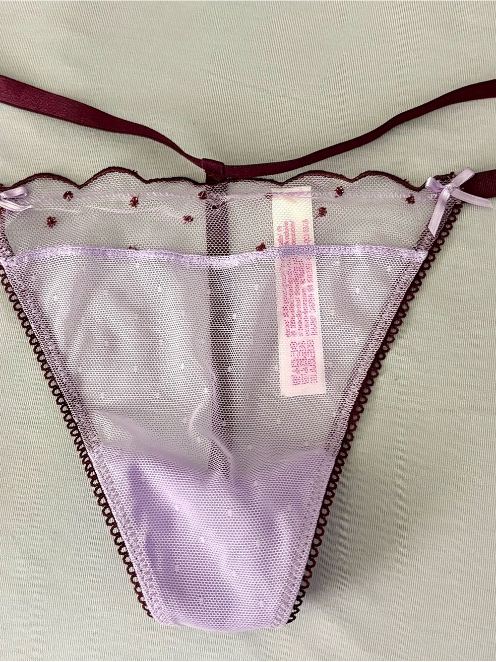 Victoria's Secret Lavender and Burgundy Sheer Lace Bikini Panty
